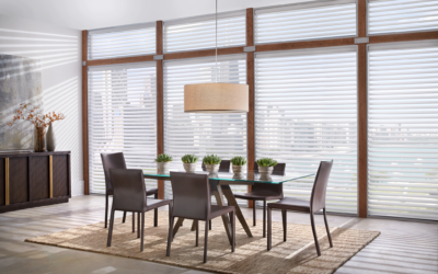 Light-Filtering Shades for Brighter, More Comfortable Appleton Homes